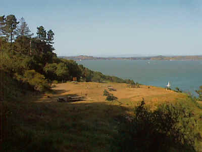 siteview.jpg (80159 bytes)